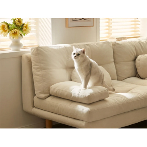 Global Pet Sofa Market Expands in 2026: Driven by Pet Humanization, Sustainable Design and Smart Innovation