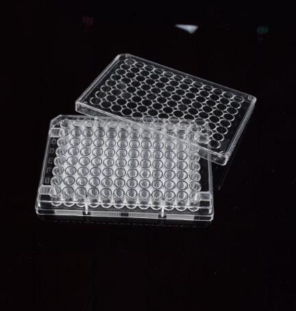 Piastre sterili per colture cellulari in plastica di diverse dimensioni