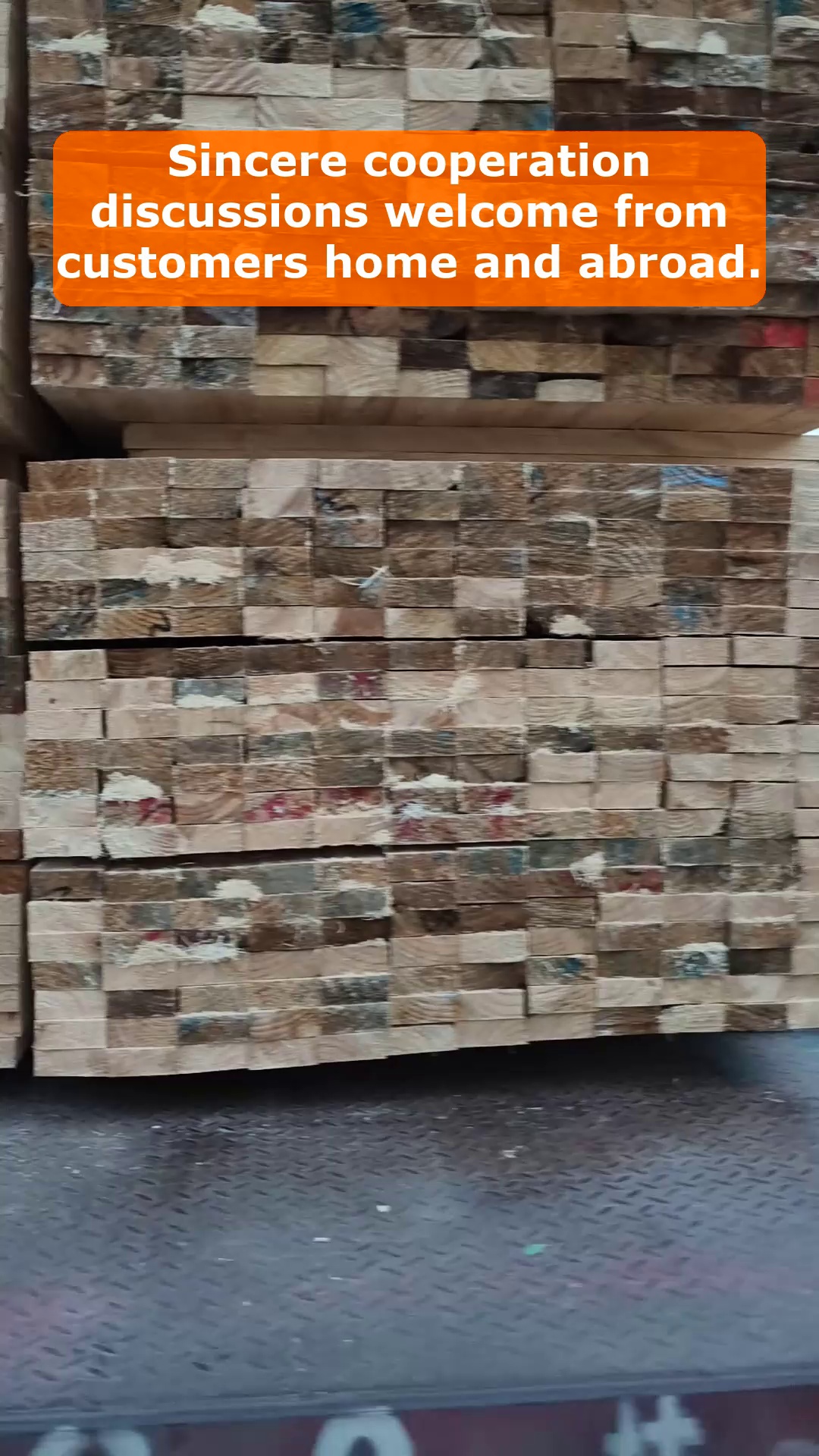Video 86