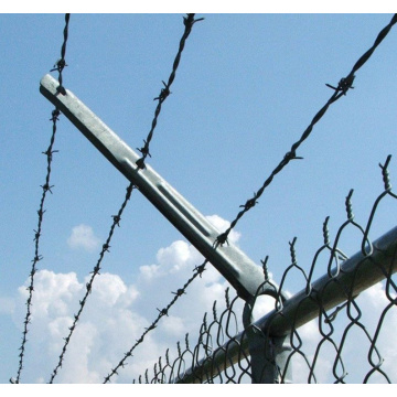 Top 10 China Iron Barbed Wire Manufacturers