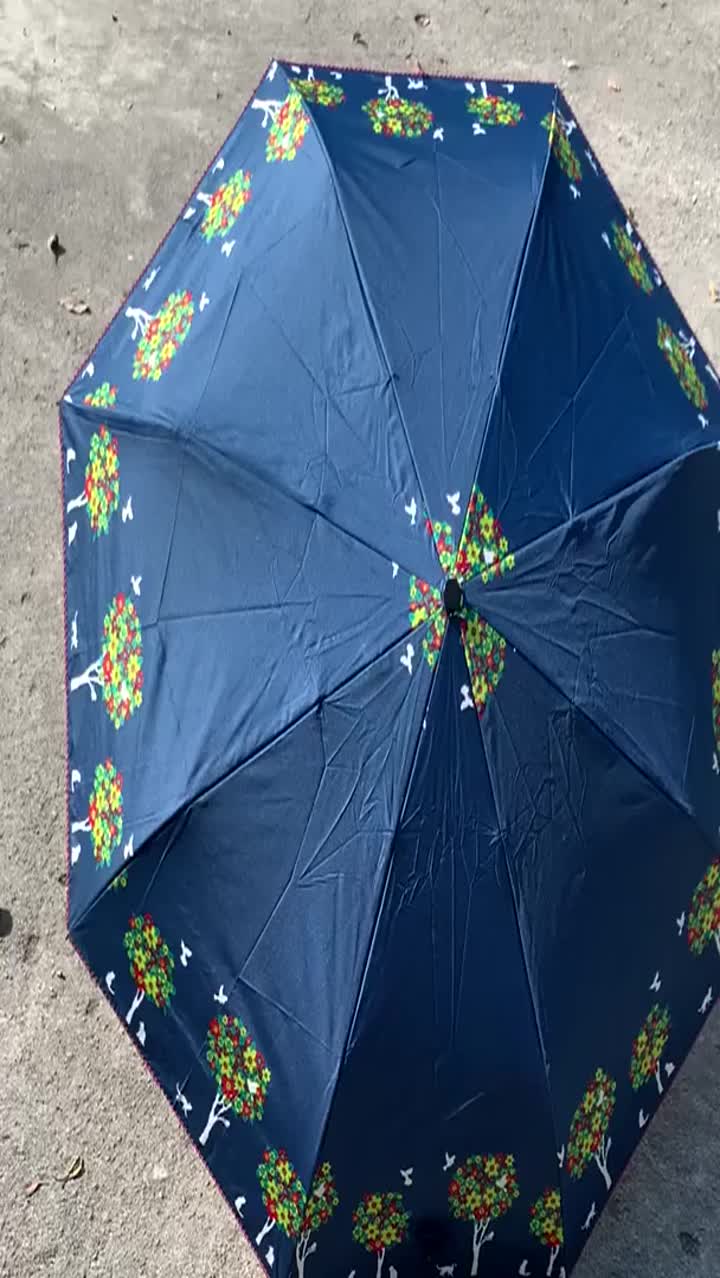 женский зонтик от солнца.mp4