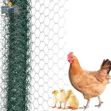 Dieci fornitori cinesi di mesh a filo esagonale galvanizzati popolari nei paesi europei e americani