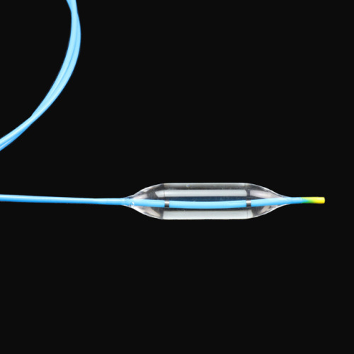 Dilation Balloon Catheters-Jiangsu Changmei