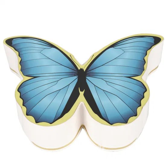 High End Fancy Design Lamination Irregular Flip Closure Butterfly Shape Box1