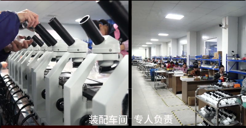 Ningbo Beilun Kalinu Optoelectronic Technology Co.,Ltd