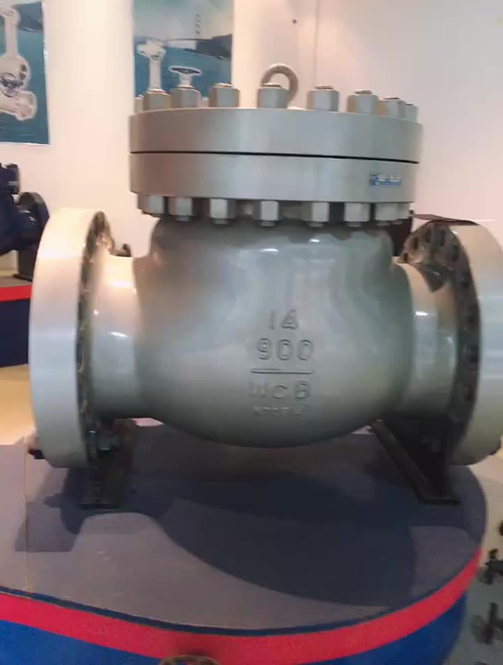 CASTED CHECK VALVE.mp4