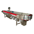 Blueberry Sorting and Weighting Machine for Small Fruits1