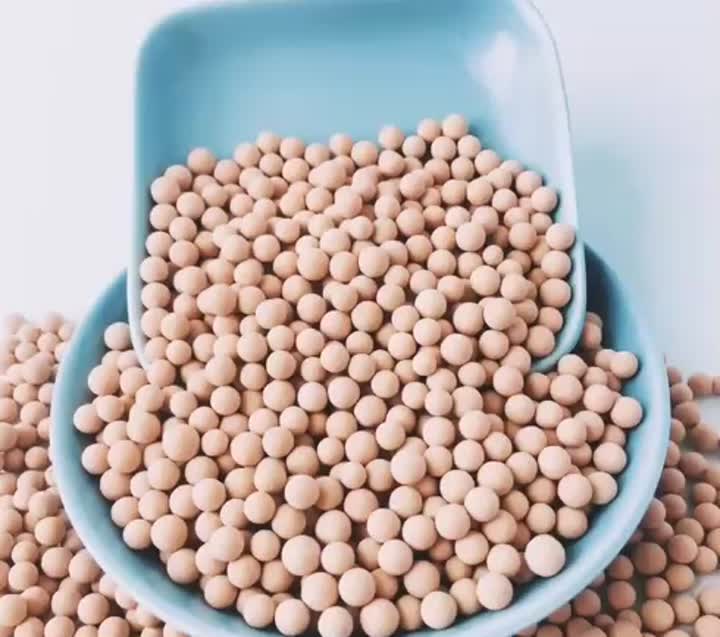 المنخل الجزيئي الزيوليت