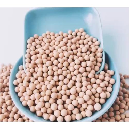 المنخل الجزيئي الزيوليت