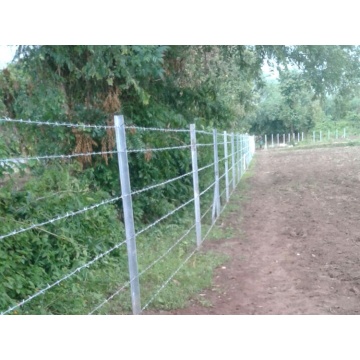 List of Top 10 Barbed Wire Brands Popular in European and American Countries