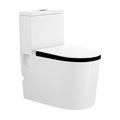 China One Piece Ceramic Toilet1