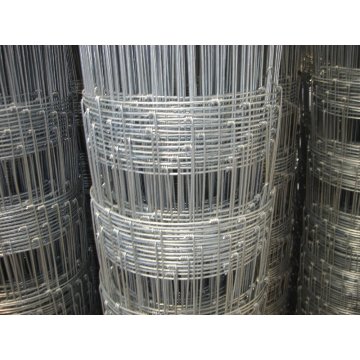 China Top 10 Double Wire Mesh Fence Potential Enterprises