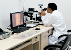 Guangdong Hongbo New Materials Group Co., Ltd.