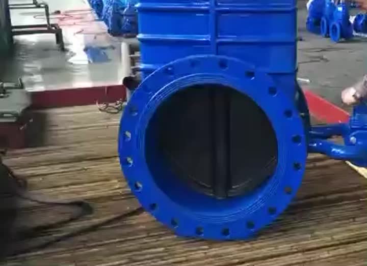 Pressure testing for by pass valve of DN600 resilient seat gate valve_SUZHOU RSF VALVE