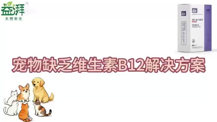 Hongo Reishi con Vitamina B12 para Mascotas