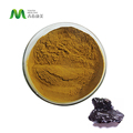 Kő ásványi termék ShilaJeet tiszta gyógynövényes fulvinsav -kiegészítő táplálkozás 100% vízoldható természetes fekete shilajit organic1