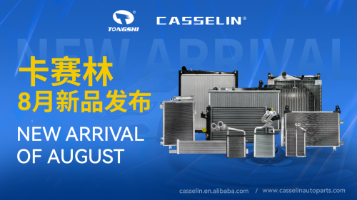 CASSELIN NEW ARRIVAL IN AUGUST