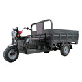 Double Light Cargo Electric Tricycle with Tipping Bucket and Load Capacity1