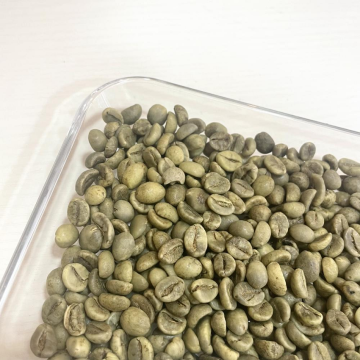 What are Arabica Raw Green Coffee Beans?