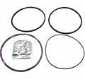 Truck Parts Cylinder Liner Ring Seal Ring D12 D13 Switch Payload Injector1