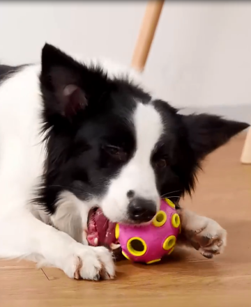BALL VIDEO KPT-R10