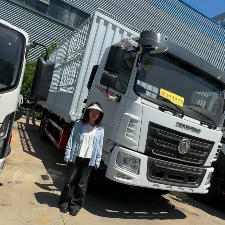 Эфектыўная фургонка для камерцыйнай дастаўкі