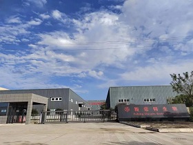 Fufeng Sinuote Biotechnology Co., Ltd.