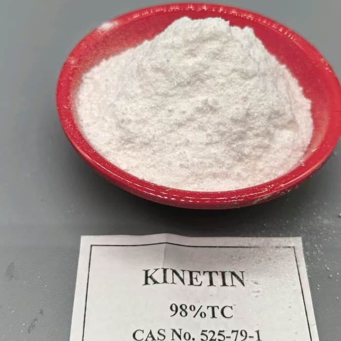 ไซโตไคนิน ไคเนติน 98% 6-KT - 6FAP 98%TC