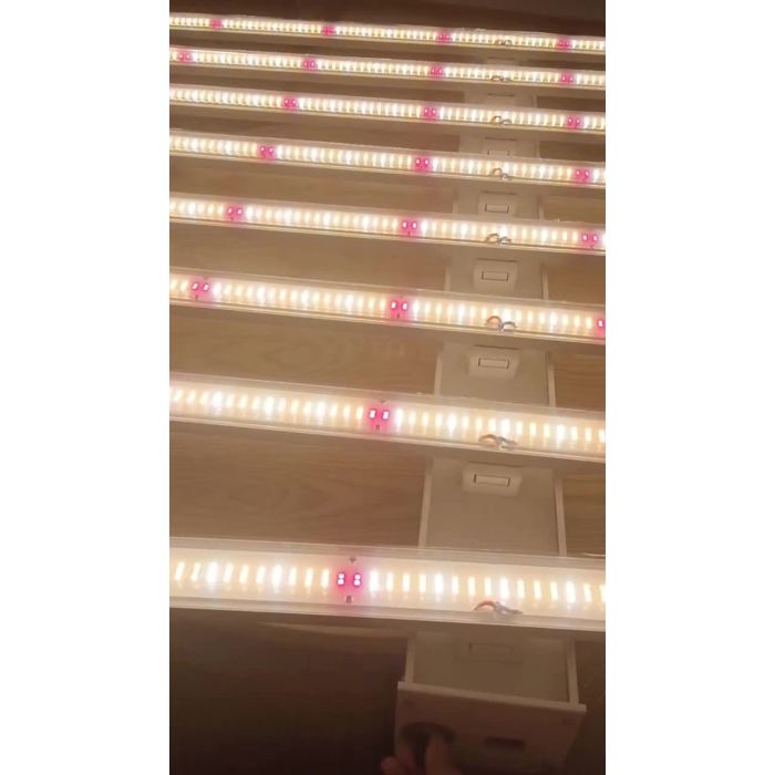 LED 600W Indoor Plant Grow Light