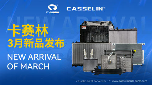 CASSELIN NEW ARRIVAL IN MARCH
