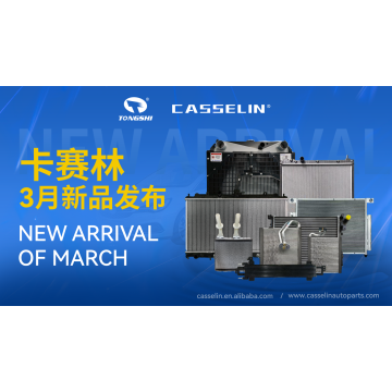 CASSELIN NEW ARRIVAL IN MARCH