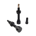 ROADUP 55MM Colorful Core Stem Tubeless Sealant for Bicycle 40mm Presta Valve1
