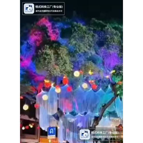 Colorful decorative led lights