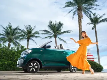 Chinese Electric Car Double-Door and Two-Seat Wuling Mini EV Convertible Electric Car 2023 Low Price of New Energy Vehicles1