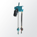 Explosion-Proof Pneumatic Hoist 1-Ton Ring Chain1