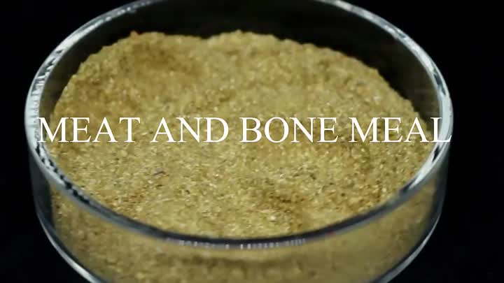 Meat And Bone Meal 50%