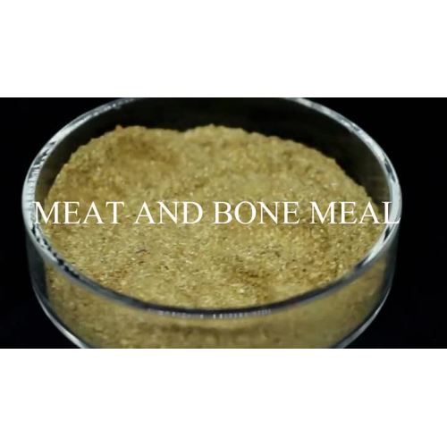 Meat And Bone Meal 50%