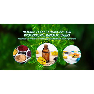 The phytochemical analysis of the plant extracts is as follows: