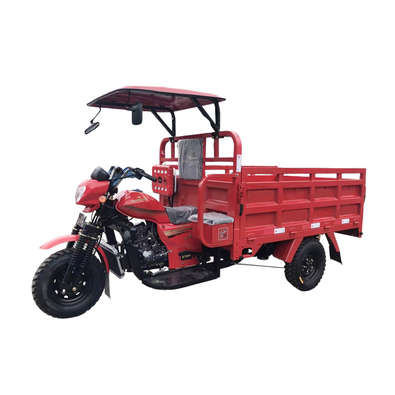 Affordable fuel powered tricycle