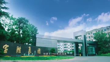 Baosheng Video