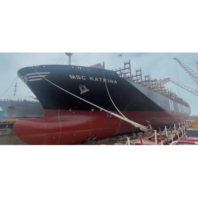 Ocean platform stern bearing application
