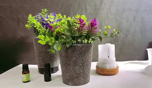 Diffusore olio essenziale, piante succulente diffuso in aromaterapia in vaso, diffusori aroma super silenziosi a nebbia fresca ad ultrasuoni1