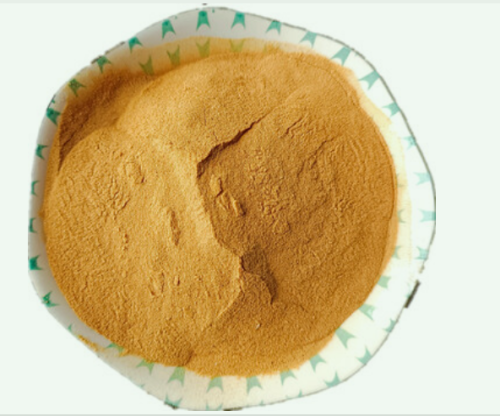 Characteristics of Corn Steep Liquor Powder (CSLP)