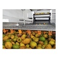 Mango Pulp Production Line Equipment and Processes1