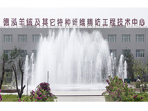 Dehong International Cashmere CO., LTD.