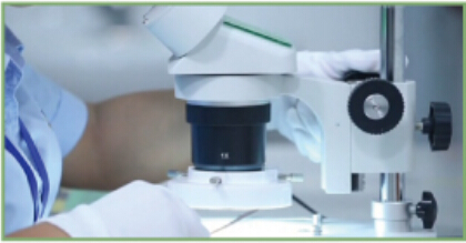 Well Ascent Electronic (GANZHOU) Co., Ltd.