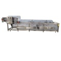 High Efficiency Fruit Blancher & Vegetable Steam Blanching Machine1