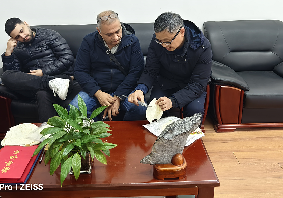 international friend