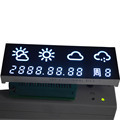 Customized 1 Inch Seven Segment Display FND & LED 7 Segment Displays1
