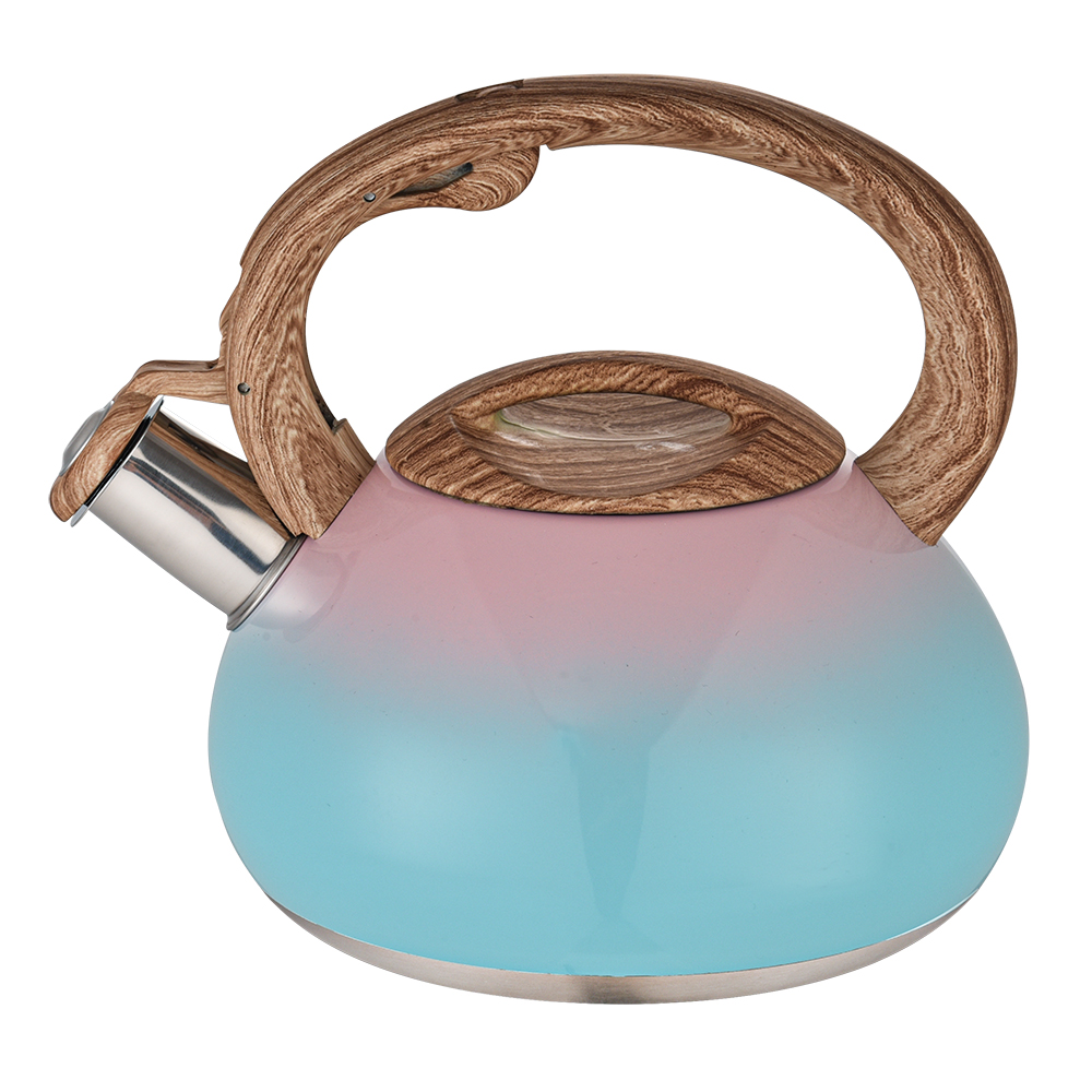 stainless steel stovetop tea kettle